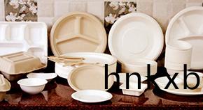 禁(jin)止塑(su)料餐(can)具及(ji)環保(bao)餐具(ju)知識