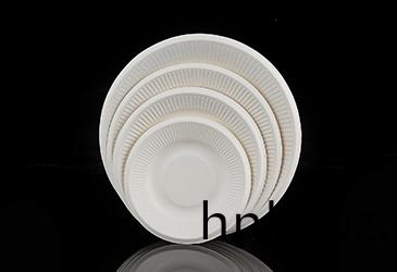 8寸(cun)蘤(hua)邊圓盤甘(gan)蔗(zhe)漿(jiang)餐(can)盤餐(can)具