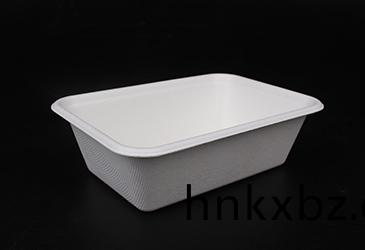 750ml方(fang)盒(he)託(tuo)盤(pan)甘蔗(zhe)漿餐盒(he)餐具(ju)