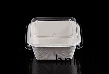 350ml帶(dai)蓋(gai)子(zi)方形甘(gan)蔗漿(jiang)餐(can)盒餐具(ju)