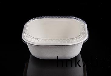 20cm方椀(wan)巨(ju)椀甘蔗(zhe)漿(jiang)餐盒(he)餐具