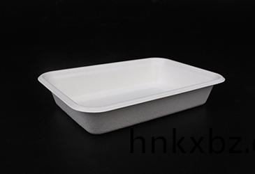 500ml方盒託(tuo)盤(pan)甘(gan)蔗(zhe)漿(jiang)餐盒餐具(ju)